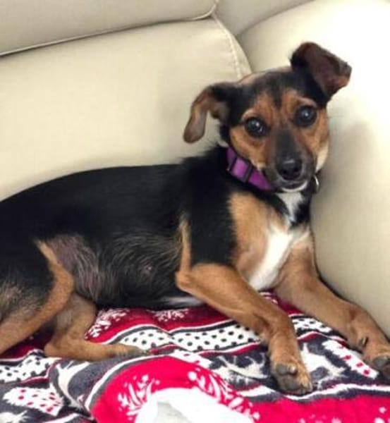 Emma2 sucht ein Zuhause