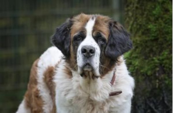 Mia & Oskar suchen ein Zuhause