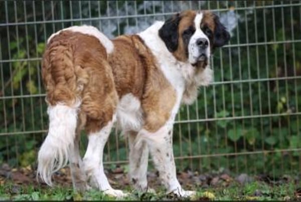 Mia & Oskar suchen ein Zuhause