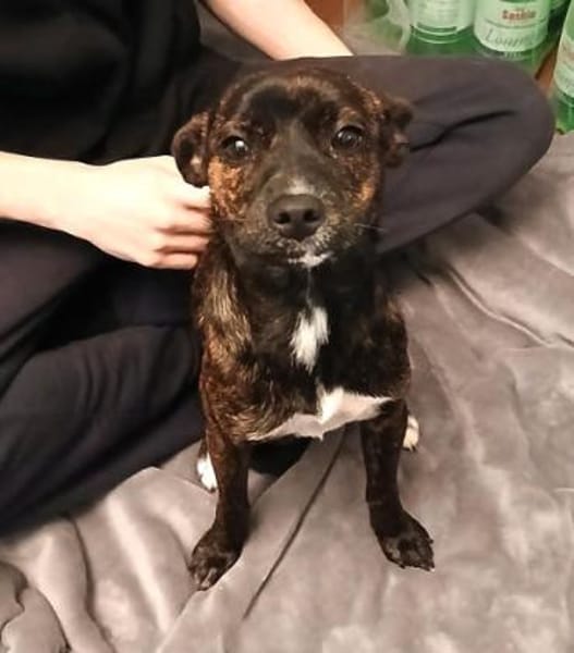 Nani3 sucht ein Zuhause