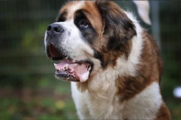 Oskar und Mia suchen ein Zuhause