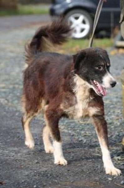 Tayto - zutraulich u. unkompliziert