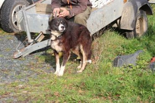 Tayto - zutraulich u. unkompliziert