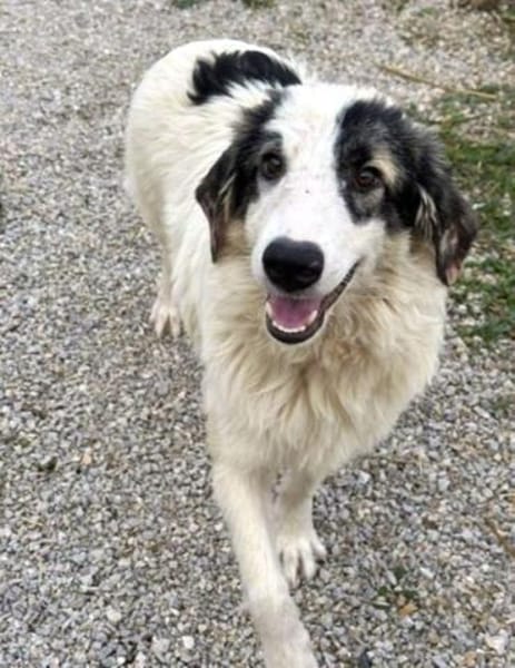 Wunderbare Shine sucht ihre Familie