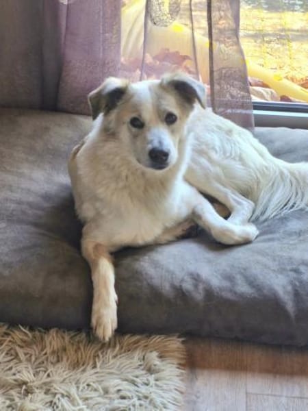 Lumi, 3 Jahre auf PS in Nürnberg