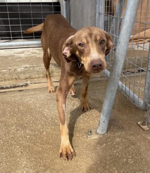 Zoe ist einfach nur lieb