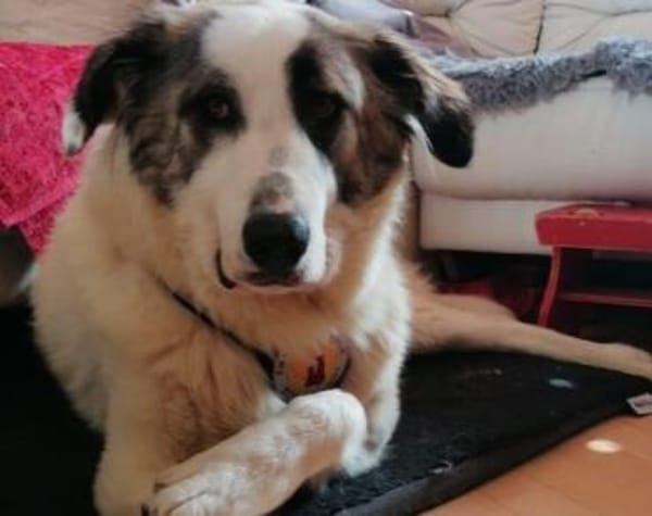 Bezaubernde Laini sucht ihre Familie