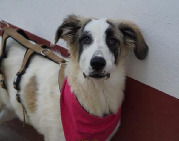 Bezaubernde Laini sucht ihre Familie