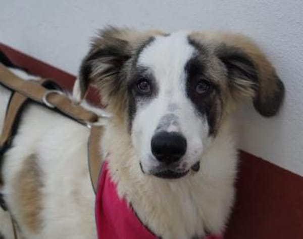 Bezaubernde Laini sucht ihre Familie