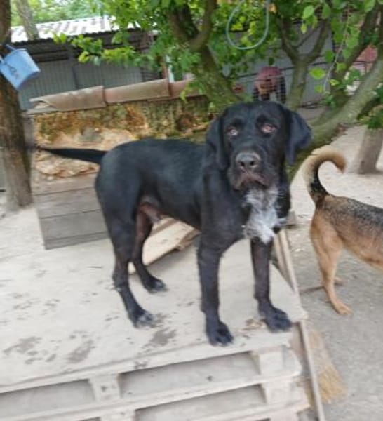 Duda sucht seine Familie