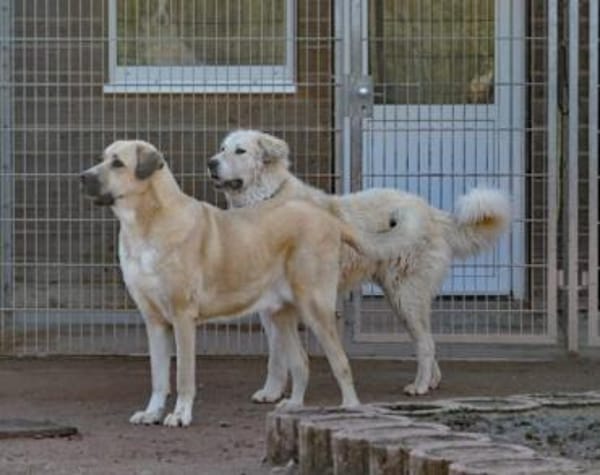 Boss wartet bereits auf dich!