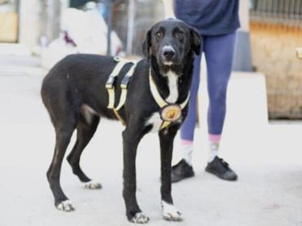 Laba möchte mit dir die Welt entdecken