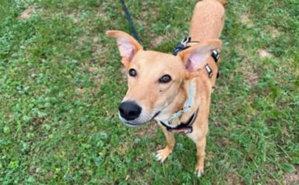 Keylam wartet auf dich!