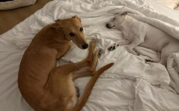 Keylam wartet auf dich!