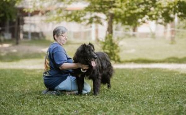 Kuschelfan Odi sucht ein Zuhause