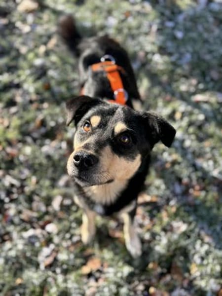 Shane wartet in München!