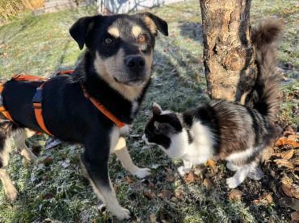 Shane wartet in München!