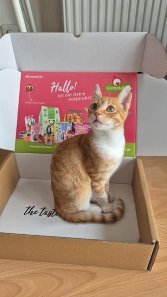 Annabelle & Mirabelle suchen DICH!