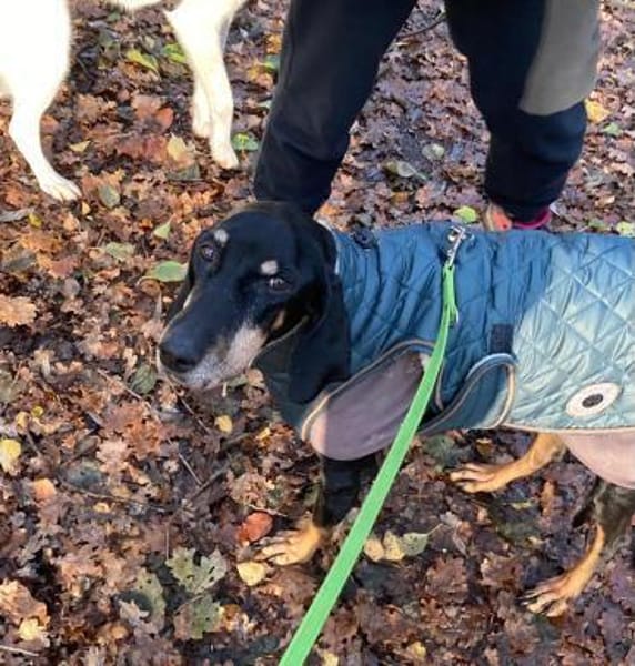 Gina sucht ihre für immer Familie!