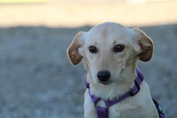 Ajala sucht ihre Lieblingsmenschen