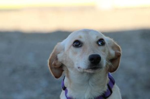 Ajala sucht ihre Lieblingsmenschen