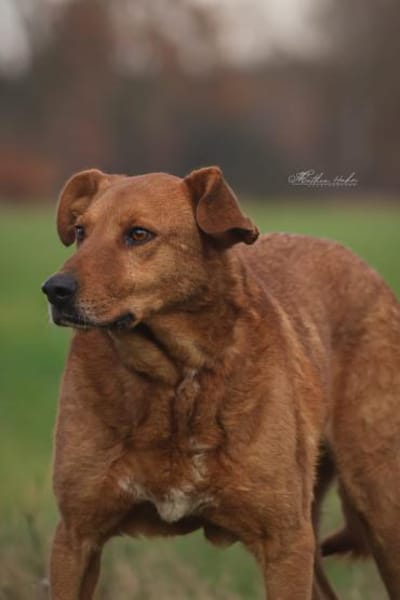 Timmy - neugieriger Schatz ❤