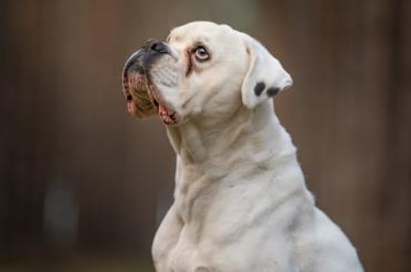 Tequila - will endlich ankommen