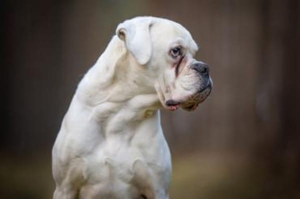 Tequila - will endlich ankommen