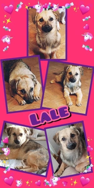 Süße Lale wartet in 91278 Pottenstein!