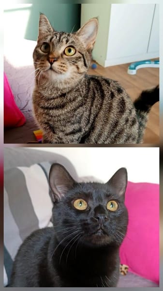 Beat + Saffron - unser Dreamteam