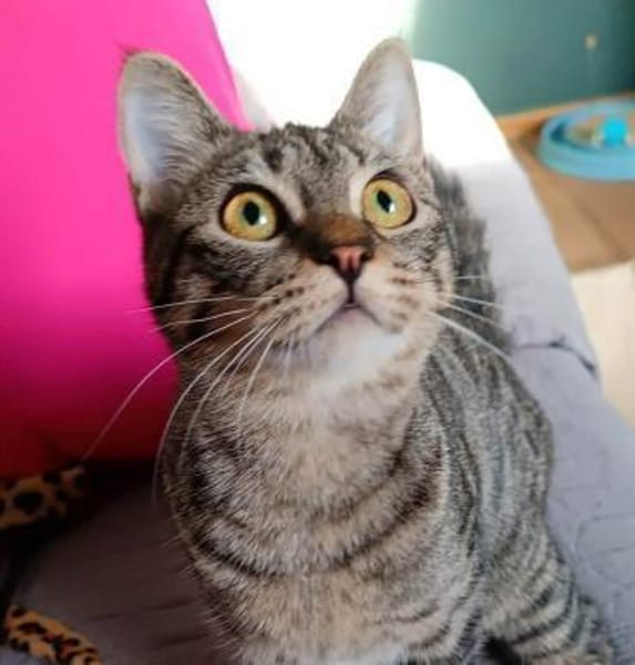 Beat + Saffron - unser Dreamteam