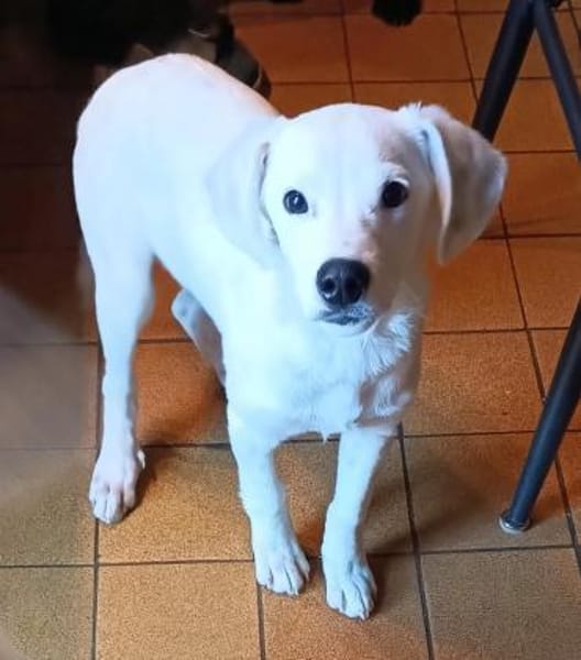 Oskar - kleiner Sonnenschein