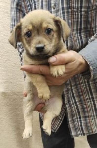 Daniel 20 cm (Nov 25) Pflegestelle