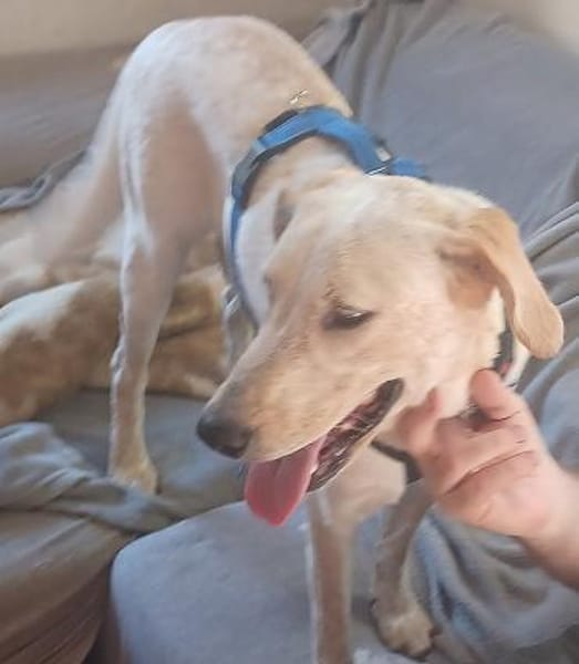 SOLE 🧡🧡🧡MÖCHTE IHR HERZ EROBERN