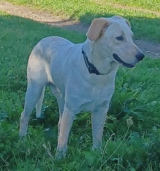 SOLE 🧡🧡🧡MÖCHTE IHR HERZ EROBERN