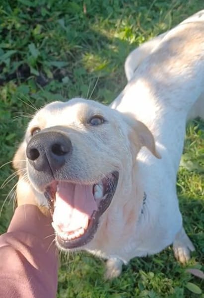 SOLE 🧡🧡🧡MÖCHTE IHR HERZ EROBERN