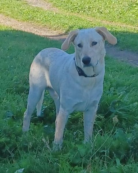 SOLE 🧡🧡🧡MÖCHTE IHR HERZ EROBERN