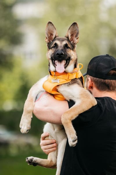 Besondere Deya sucht ihre Menschen