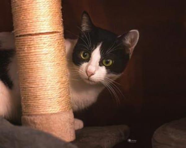 Pia sucht Kuschelplatz