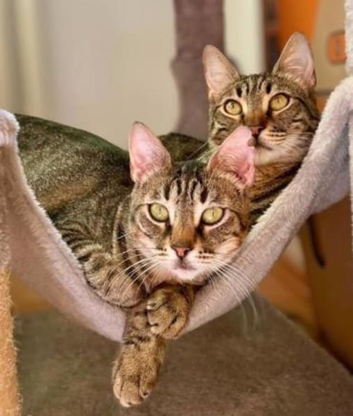 Mamasita und Blue/ Mutter- Tochter