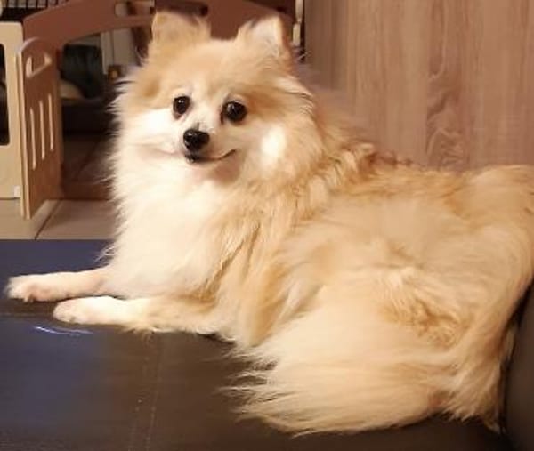 Conny in 27478 Cuxhaven #