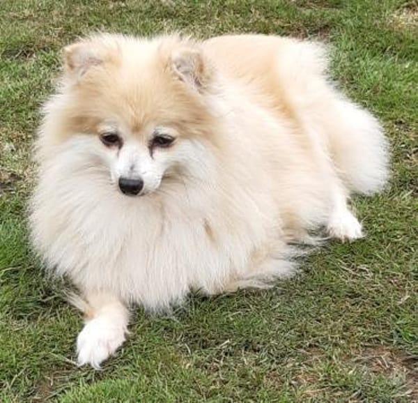 Conny in 27478 Cuxhaven #