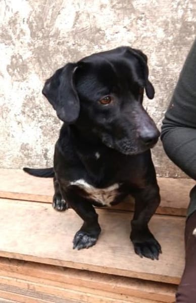 Tapi sucht seine Herzensmenschen