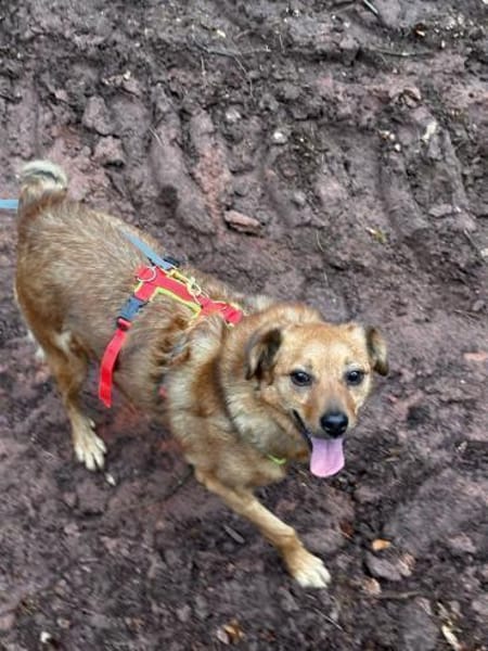 Robby, schüchterner Charmeur sucht seine