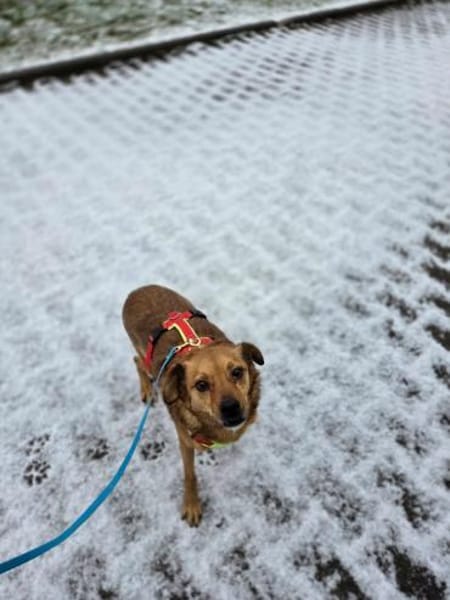 Robby, schüchterner Charmeur sucht seine