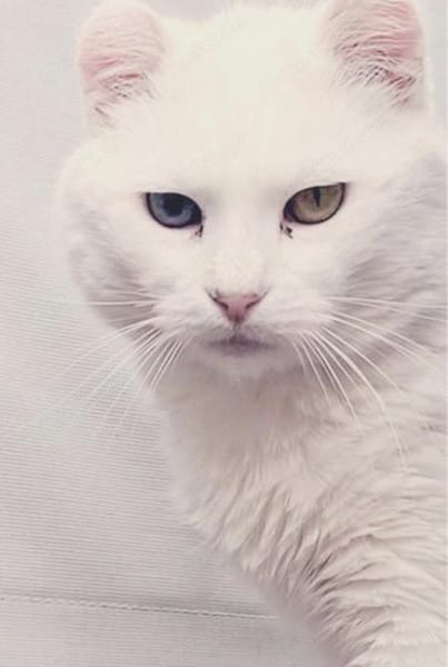 Süße Geschwister Frieda und Mona