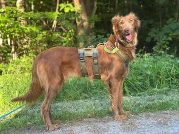 Lina möchte das Leben entdecken