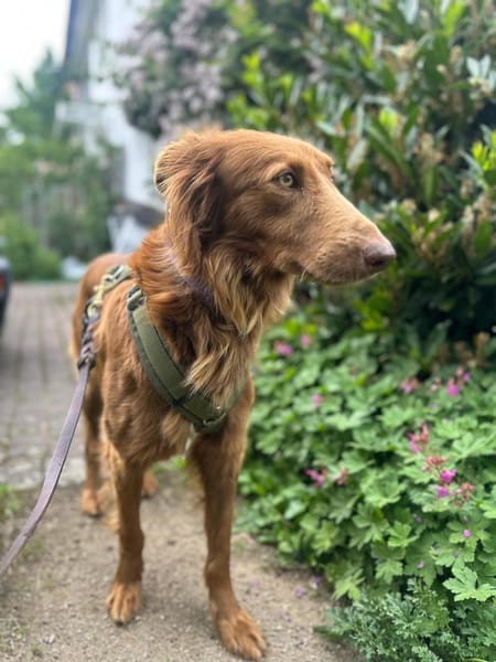 Lina möchte das Leben entdecken