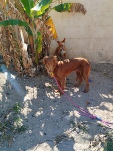 Lina möchte das Leben entdecken