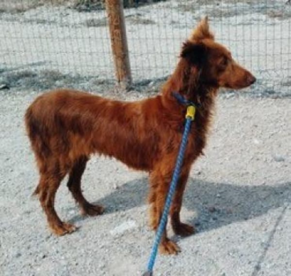 Lina möchte das Leben entdecken